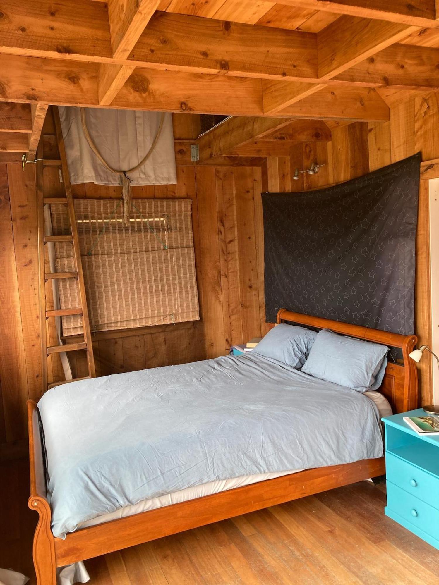 Kereru Cabin - Spectacular Seaviews, Rustic, Glamping Eco Adventure Palm Beach Εξωτερικό φωτογραφία